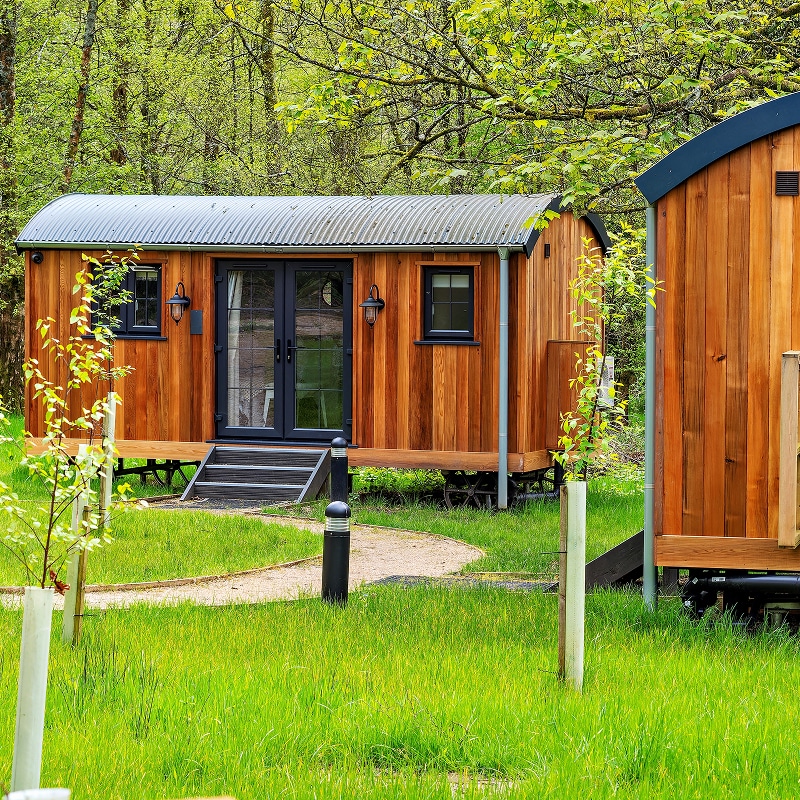 Glamping : cabane en bois et toit ondulé dans la forêt. Cabane de berger moderne en bois et toit ondulé. Portes vitrées, escalier noir et allée de gravier dans un pré boisé.